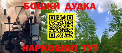прущие крисы Краснознаменск