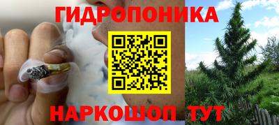 СК Краснодар