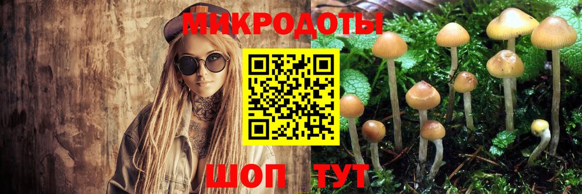 Псилоцибиновые грибы MAGIC MUSHROOMS  Вход с VPN  магазин    Карпинск 